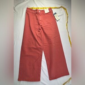 Universal Thread Wide-Leg Jeans in Rust